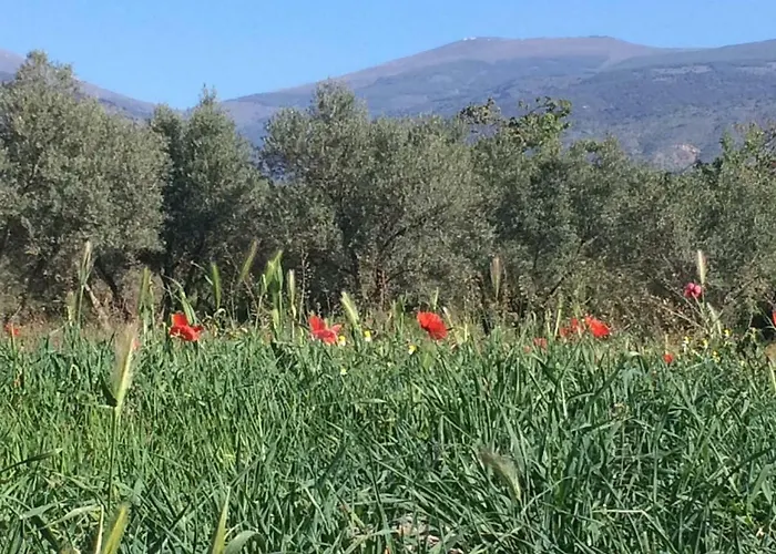 Villa Villa Ugijar Ugijar